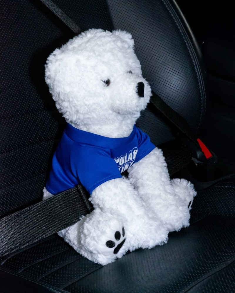 Snowball buckled into a car seat with the seatbelt across his lap